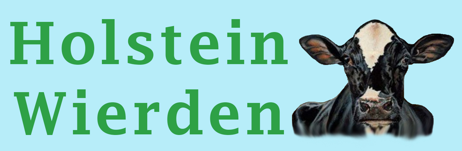 Holstein Wierden